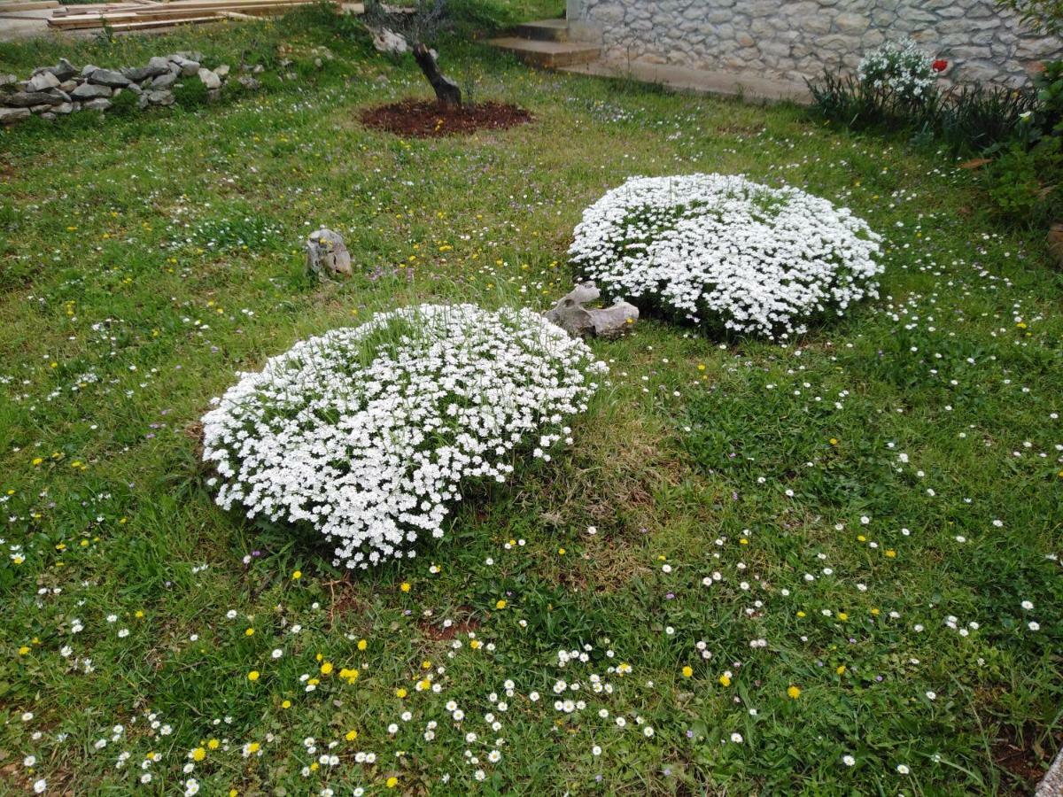 Apartman Tiziana Ζαντάρ Εξωτερικό φωτογραφία